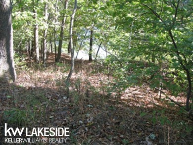 Lake Lot For Sale in Sand Point, Michigan