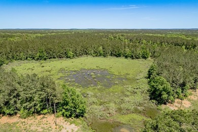 Beautiful 10-acre tract in the gated Lake Nacogdoches Ranch - photo 11