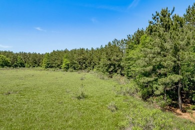 Beautiful 10-acre tract in the gated Lake Nacogdoches Ranch - photo 15