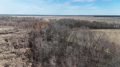 Added Additional 415 Acres! Big Cypress Creek Grand Lodge & - photo 30