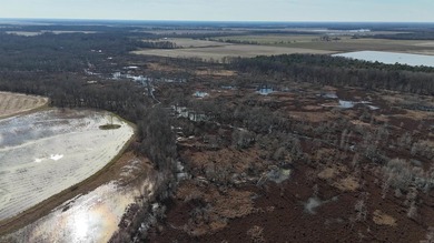 Added Additional 415 Acres! Big Cypress Creek Grand Lodge & - photo 32