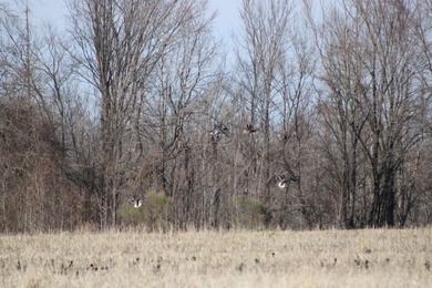 Added Additional 415 Acres! Big Cypress Creek Grand Lodge & - photo 33