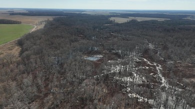 Added Additional 415 Acres! Big Cypress Creek Grand Lodge & - photo 34
