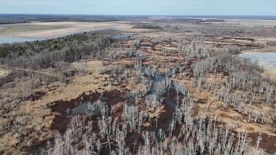 Added Additional 415 Acres! Big Cypress Creek Grand Lodge & - photo 35