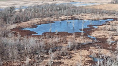 Added Additional 415 Acres! Big Cypress Creek Grand Lodge & - photo 38