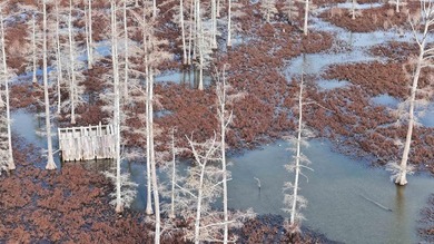 Added Additional 415 Acres! Big Cypress Creek Grand Lodge & - photo 41