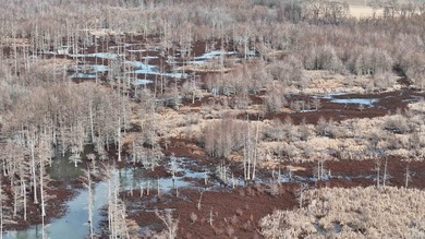 Added Additional 415 Acres! Big Cypress Creek Grand Lodge & - photo 42