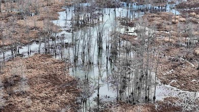 Added Additional 415 Acres! Big Cypress Creek Grand Lodge & - photo 43