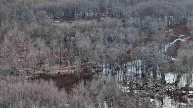 Added Additional 415 Acres! Big Cypress Creek Grand Lodge & - photo 44