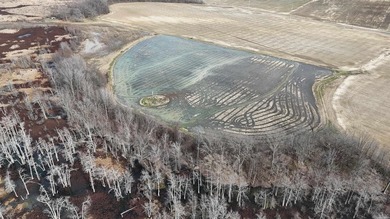 Added Additional 415 Acres! Big Cypress Creek Grand Lodge & - photo 45