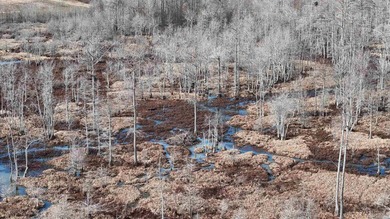 Added Additional 415 Acres! Big Cypress Creek Grand Lodge & - photo 47