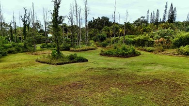 The property has already been bulldozed, ripped, leveled, fully - photo 8