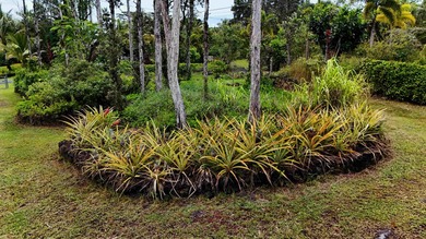 The property has already been bulldozed, ripped, leveled, fully - photo 9