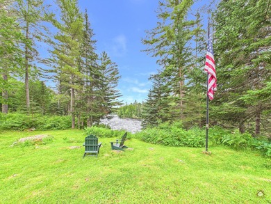 Take to the woods and experience a place unlike any other - photo 22