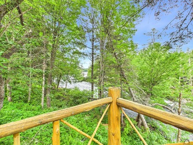 Take to the woods and experience a place unlike any other - photo 33