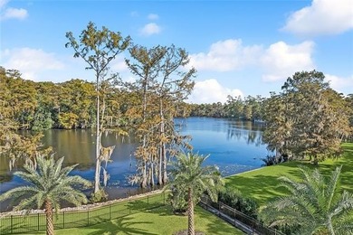 I am honored to introduce *Villa Bellavista* to the community