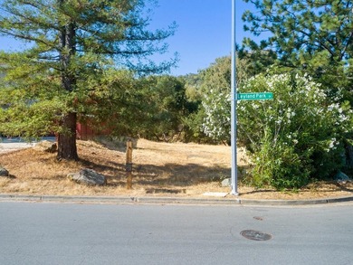 Rare opportunity to build your custom dream home on a spacious 9 - photo 1