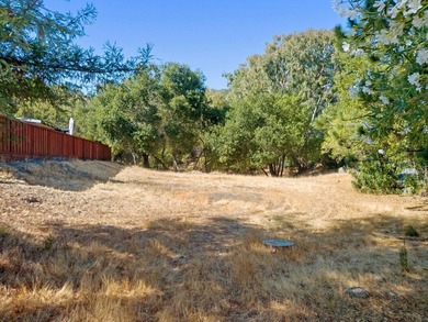 Rare opportunity to build your custom dream home on a spacious 9 - photo 2