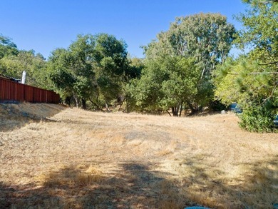 Rare opportunity to build your custom dream home on a spacious 9 - photo 4