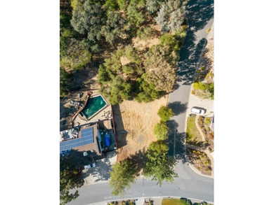 Rare opportunity to build your custom dream home on a spacious 9 - photo 7
