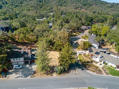 Rare opportunity to build your custom dream home on a spacious 9 - photo 9
