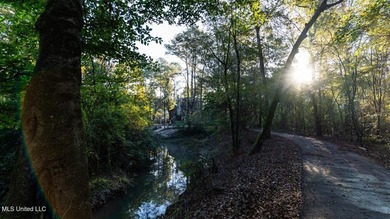 (private lake, pond, creek) Acreage For Sale in Osyka Mississippi