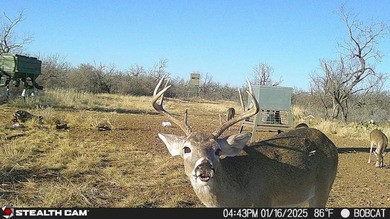 (private lake, pond, coastal) Home For Sale in Gouldbusk Texas