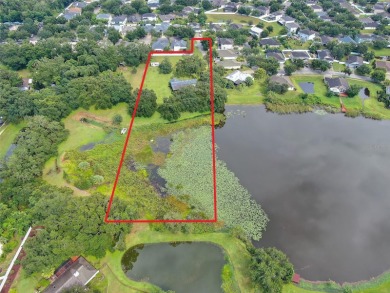 Lake Home For Sale in Dover, Florida