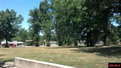 Bull Shoals Lake Lot For Sale in Bull Shoals Arkansas