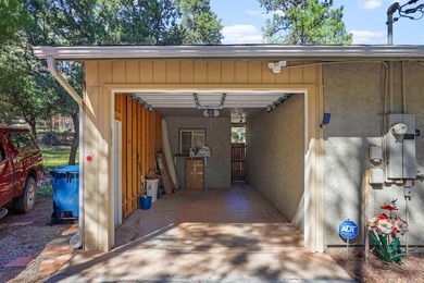 This single level 3-bed, 2-bath home in Strawberry Mountain - photo 36