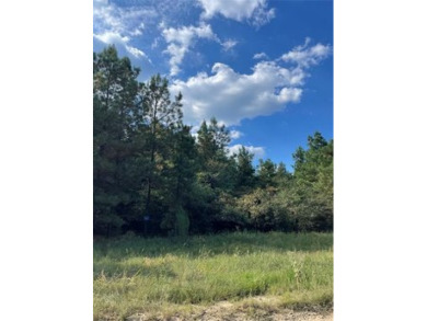 Broken Bow Lake Lot For Sale in Broken Bow Oklahoma