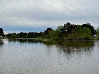 For those seeking a tranquil retreat, this secluded haven offers - photo 6