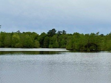 For those seeking a tranquil retreat, this secluded haven offers - photo 7