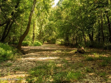 +/-288 Acres - Holmes County, MS | Prime Hunting & Timber Tract - photo 11