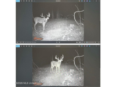 +/-288 Acres - Holmes County, MS | Prime Hunting & Timber Tract - photo 14