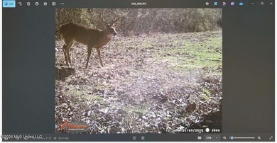 +/-288 Acres - Holmes County, MS | Prime Hunting & Timber Tract - photo 15