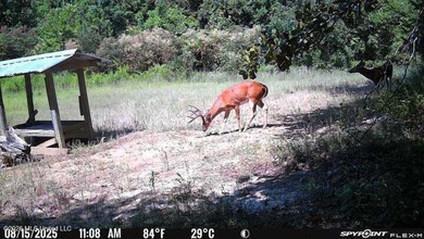 +/-288 Acres - Holmes County, MS | Prime Hunting & Timber Tract - photo 19