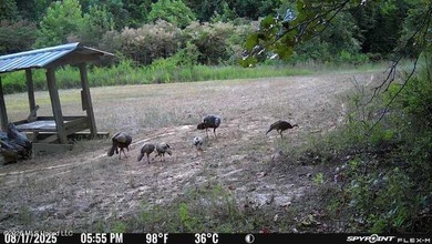 +/-288 Acres - Holmes County, MS | Prime Hunting & Timber Tract - photo 20