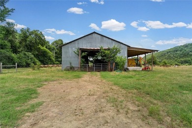 Discover approximately 76.93 acres of productive pastureland in - photo 23