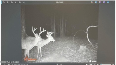 +/-288 Acres - Holmes County, MS | Prime Hunting & Timber Tract - photo 23