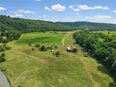 Discover approximately 76.93 acres of productive pastureland in - photo 29