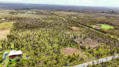 Nestled near the front of the highly desirable Fern Forest - photo 1