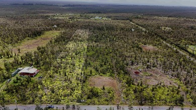 Nestled near the front of the highly desirable Fern Forest - photo 3