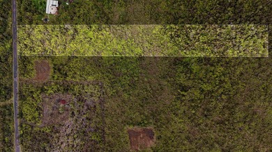 Nestled near the front of the highly desirable Fern Forest - photo 4