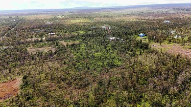 Nestled near the front of the highly desirable Fern Forest - photo 5
