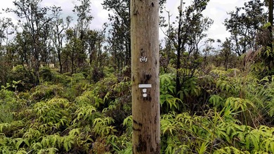 Nestled near the front of the highly desirable Fern Forest - photo 6