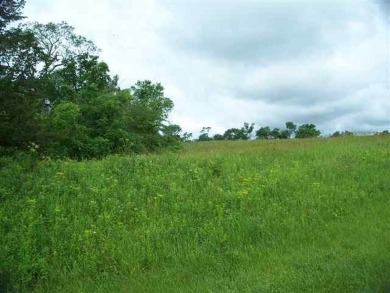 Lake Lot For Sale in Galena, Illinois