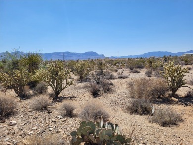 Lake Mead Lot For Sale in Meadview Arizona