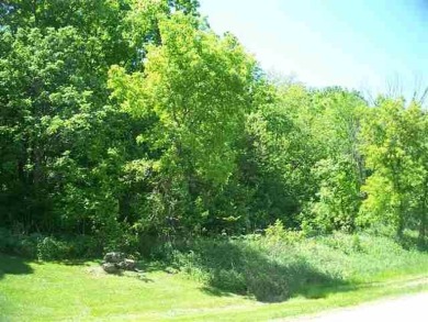 Galena Lake Acreage For Sale in Galena Illinois