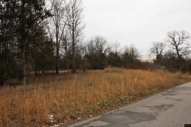 Bull Shoals Lake Lot For Sale in Flippin Arkansas